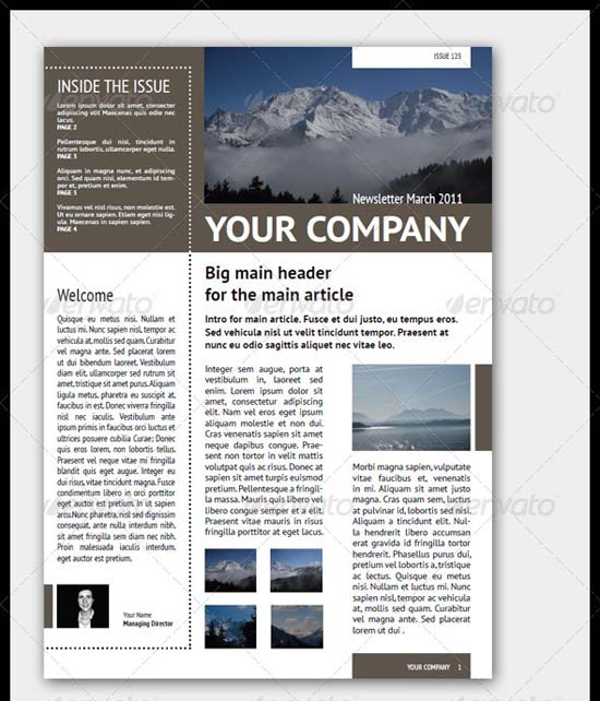 Business Newsletter Templates Free