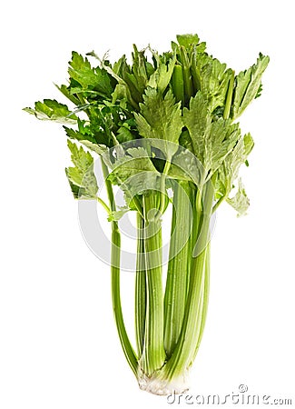 Celery Green