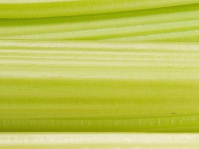 Celery Green Curtains