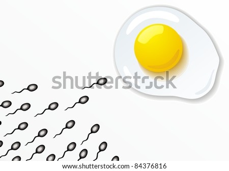 Chicken Egg Cell