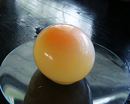 Chicken Egg Cell