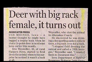 Newspaper Headlines Funny