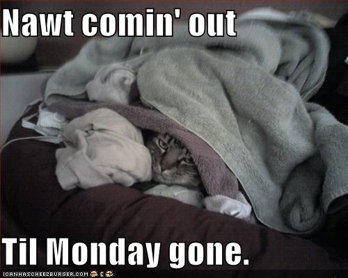 Tomorrow Is Monday Funny