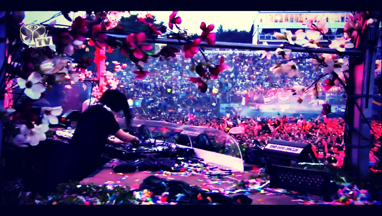 Tomorrowland Festival 2012 Youtube