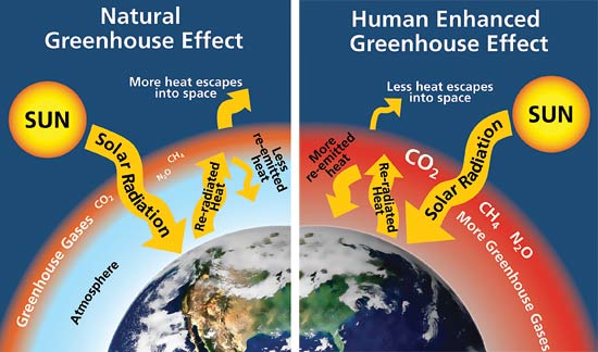 What Is Climate