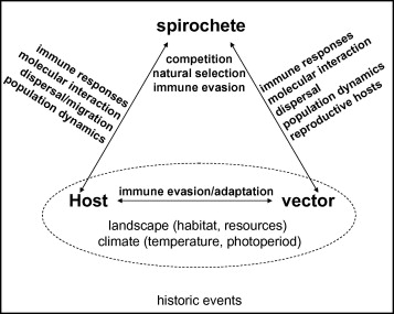 What Is Climate What Abiotic Factors Are Its Components