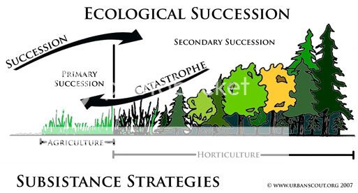 What Is Climax Community In Ecology